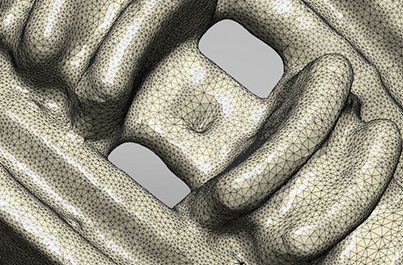 scan of ring detail